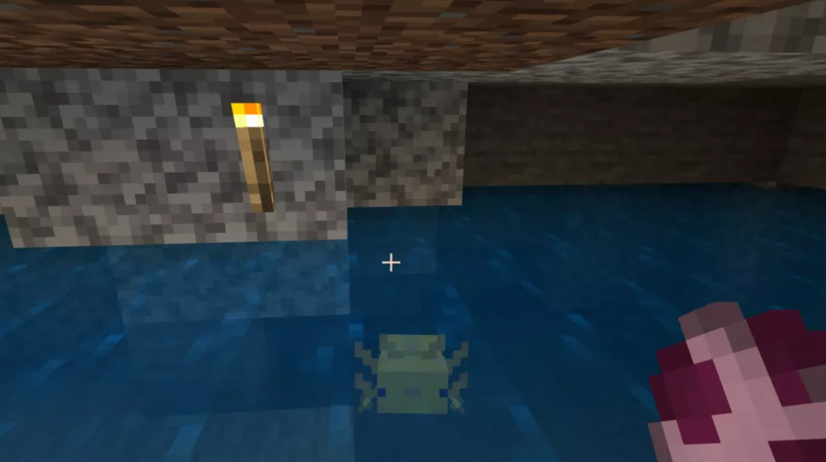 Find axolotls in Minecraft