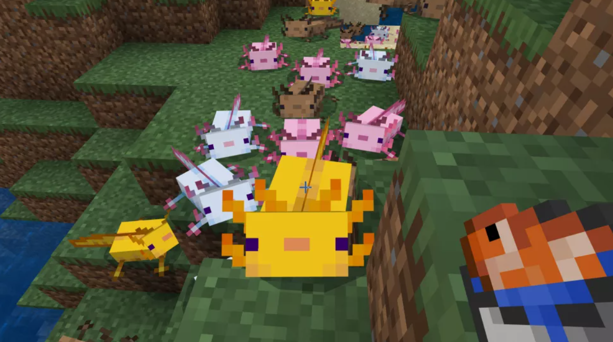 Capture axolotls in Minecraft 