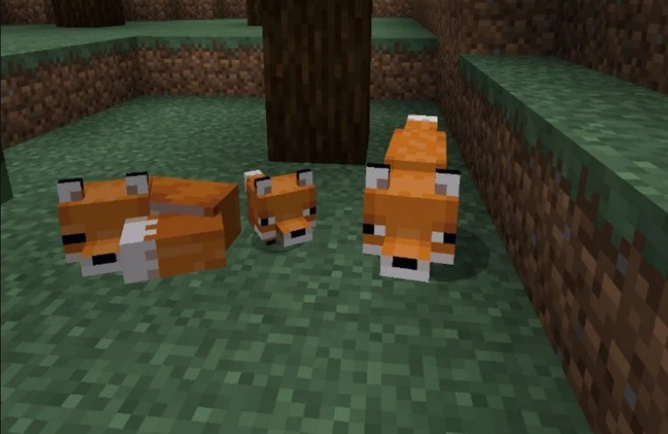 how to tame fox in mminecraft