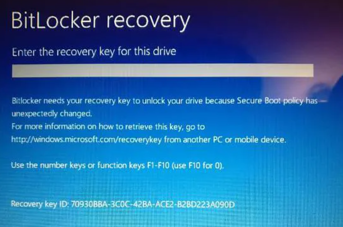 How to find BitLocker recovery key ID value